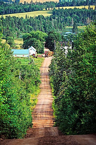 粘土路（lù）1