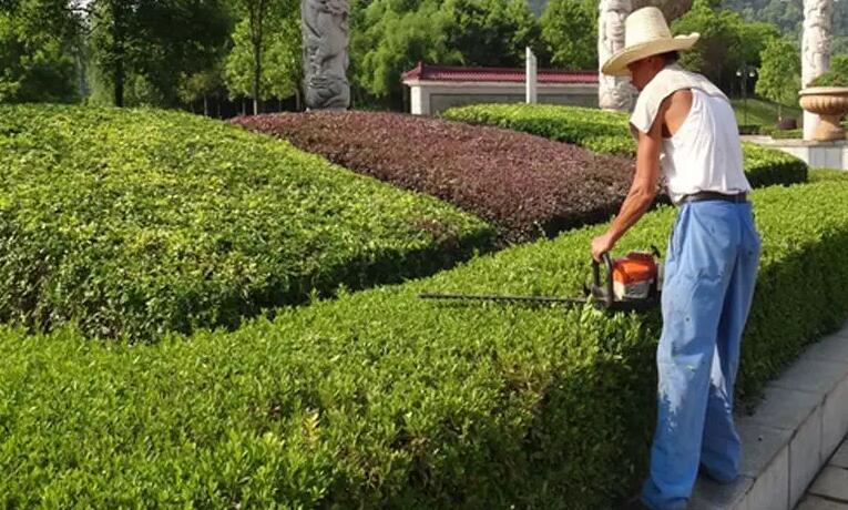 綠化養護工（gōng）證怎麽考?報名條件方式都有哪些