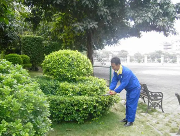 綠化養護（hù）如何提高管理水平？