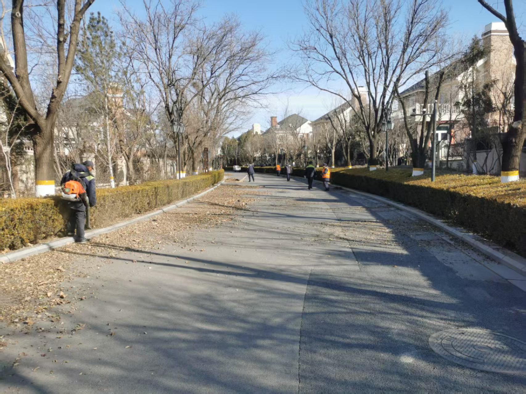 北京春季（jì）園林綠化養護指南（nán）之春季清園