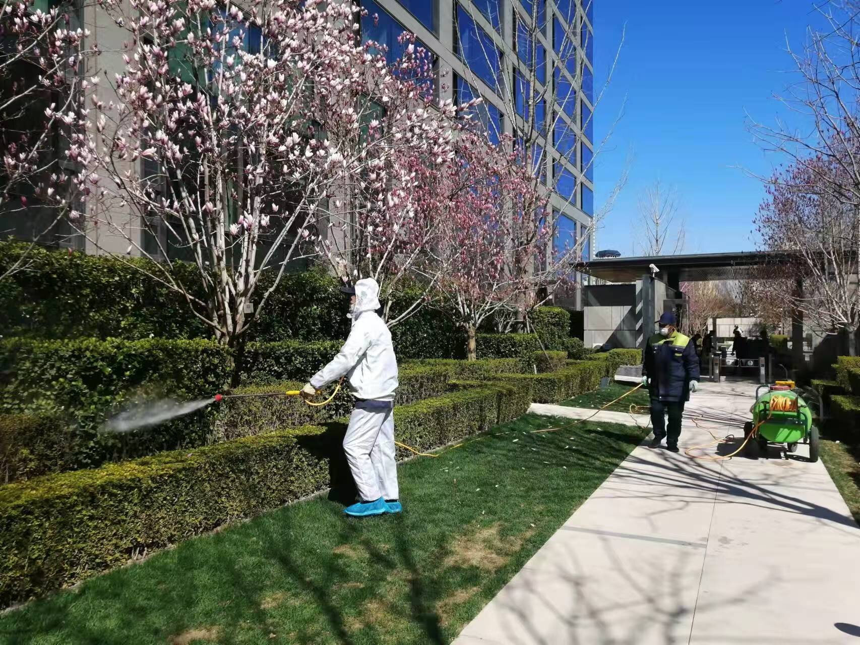 北京春季園（yuán）林綠化養護之要點