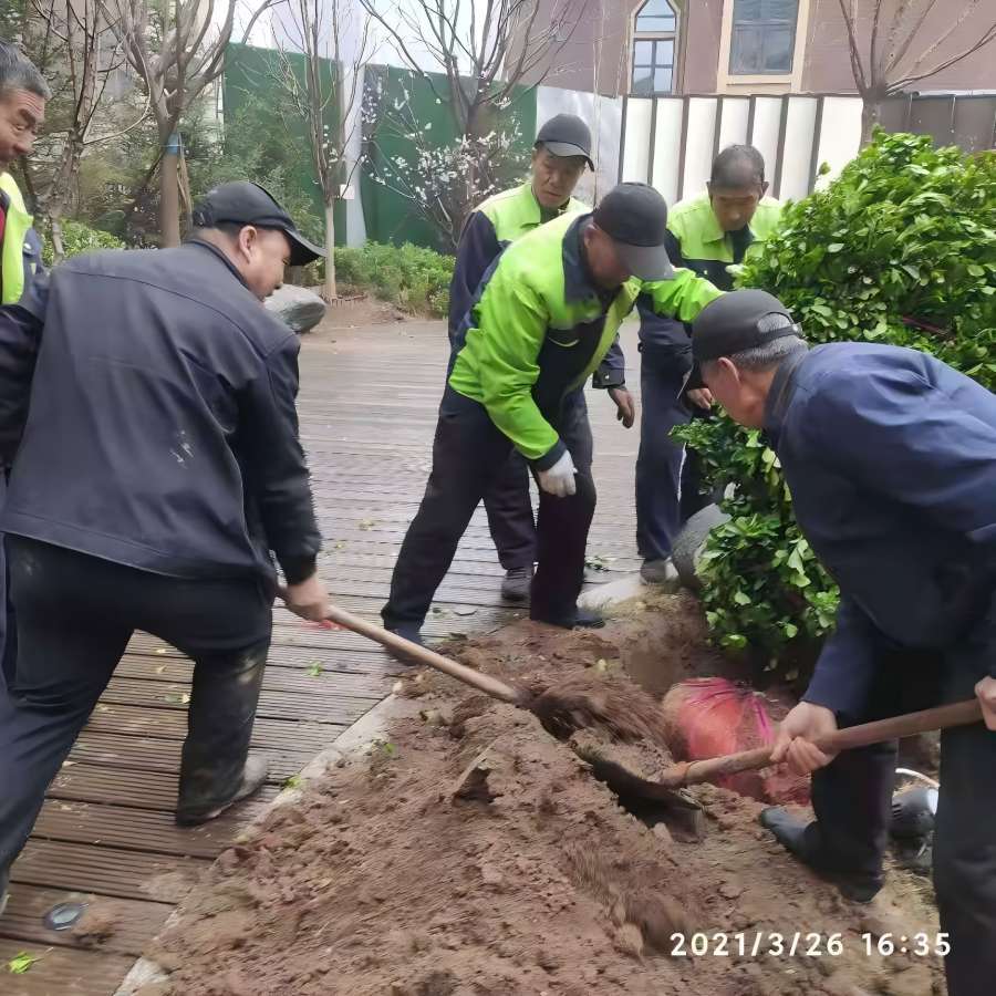 園林綠（lǜ）化工程施工中有那些注意事項